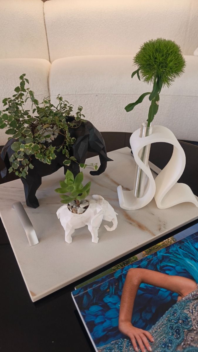 Set de macetas de elefante